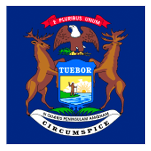 Michigan flag icon